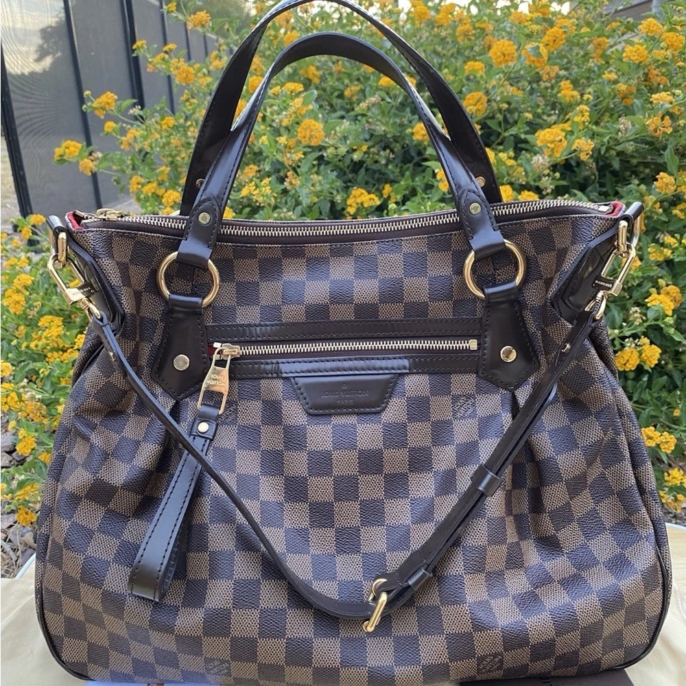 Louis Vuitton Brown and Black Hobo with Damier Ebene Canvas
